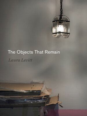 cover image of The Objects That Remain